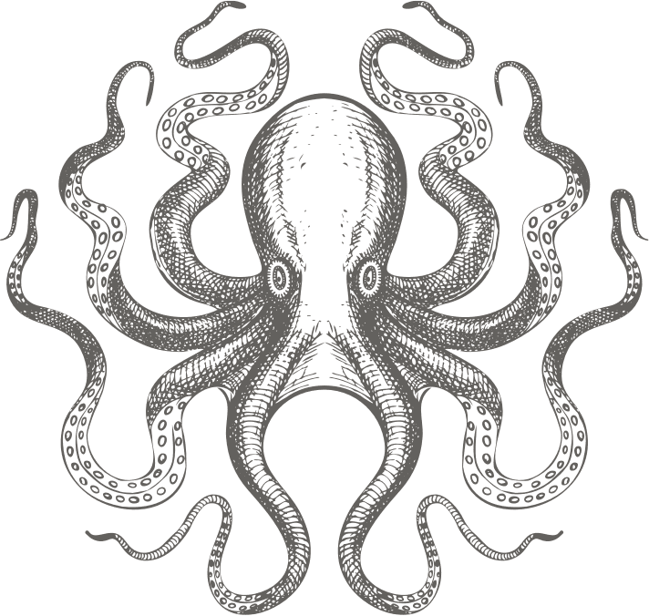 _images/octopus.png